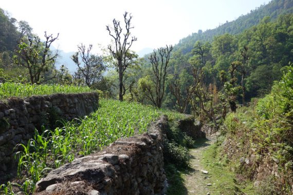 Tag 20: Tikedungha – Pokhara