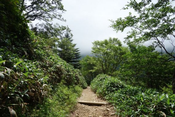 Tag 3: Besteigung des Berges Ishizuchi