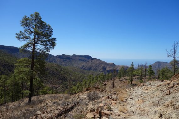 Trekking auf Gran Canaria – Planung