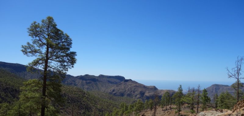 Trekking auf Gran Canaria – Planung