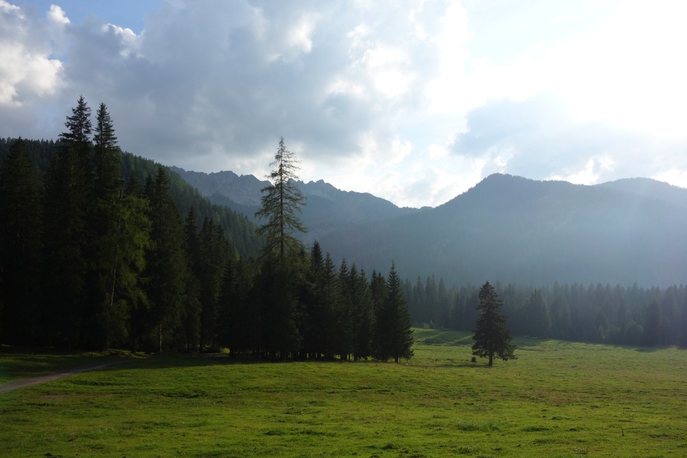 Weide am Casera Campo