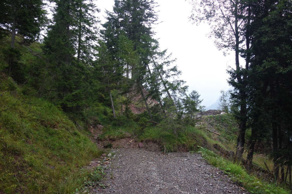 Blockierter Forstweg