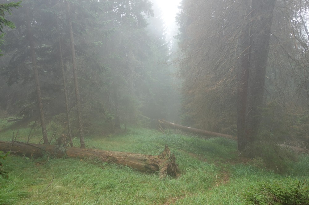 Dichter Nebel am Passo del Landro