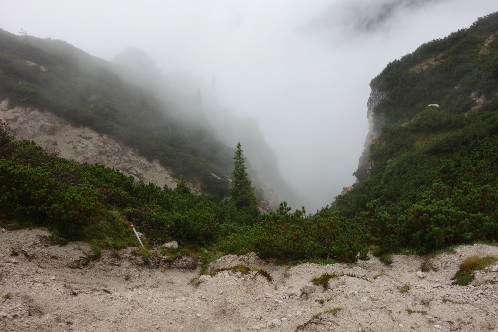 Der Weg führte am Markierungspfahl geradeaus durch das Dickicht den steilen Berghang hinab.