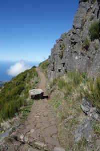 2017-03-27_2 Madeira